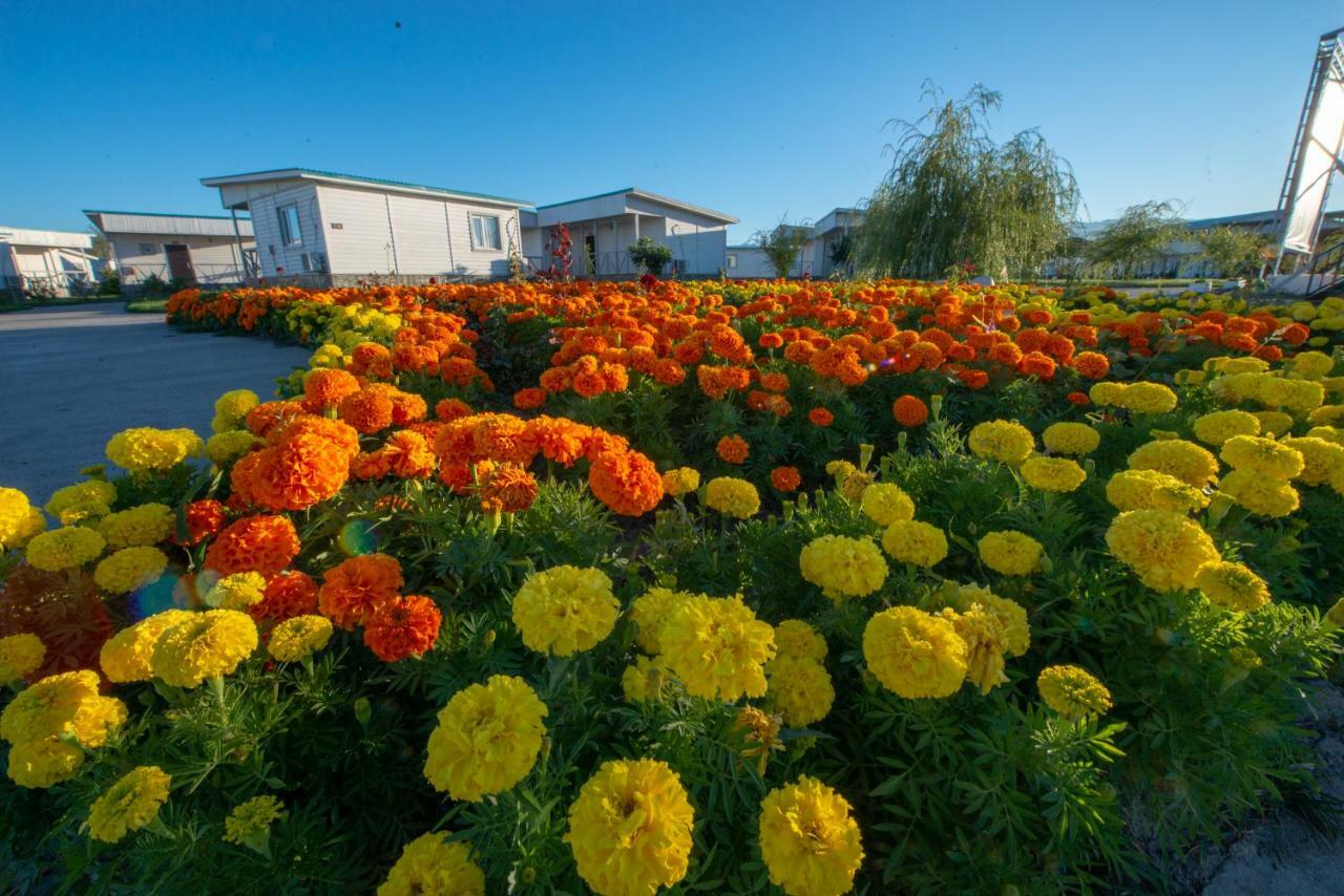 Aquamarine Resort Akshi 외부 사진