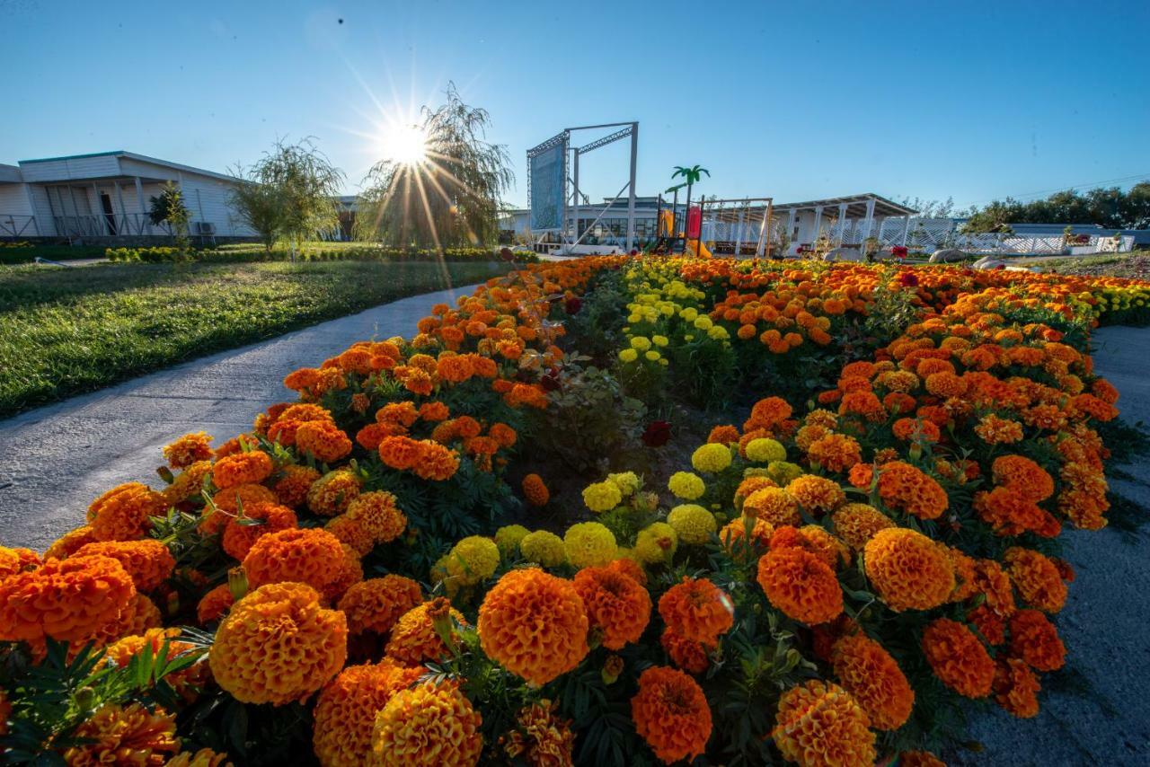 Aquamarine Resort Akshi 외부 사진